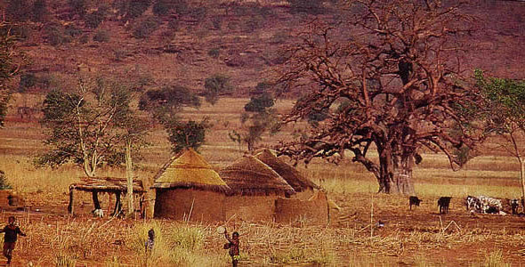 région des savanes-Togo